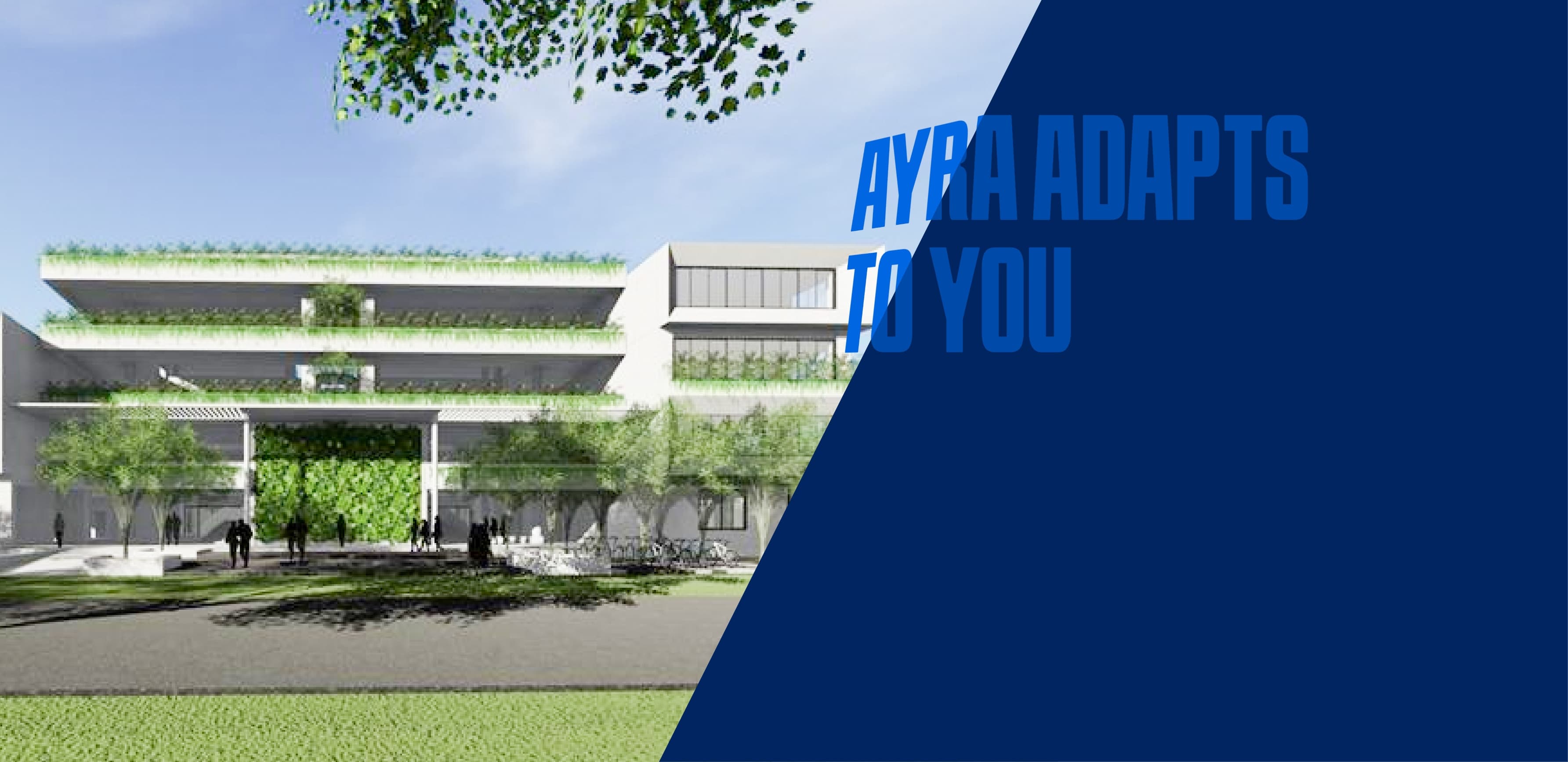 Who Can Apply Background