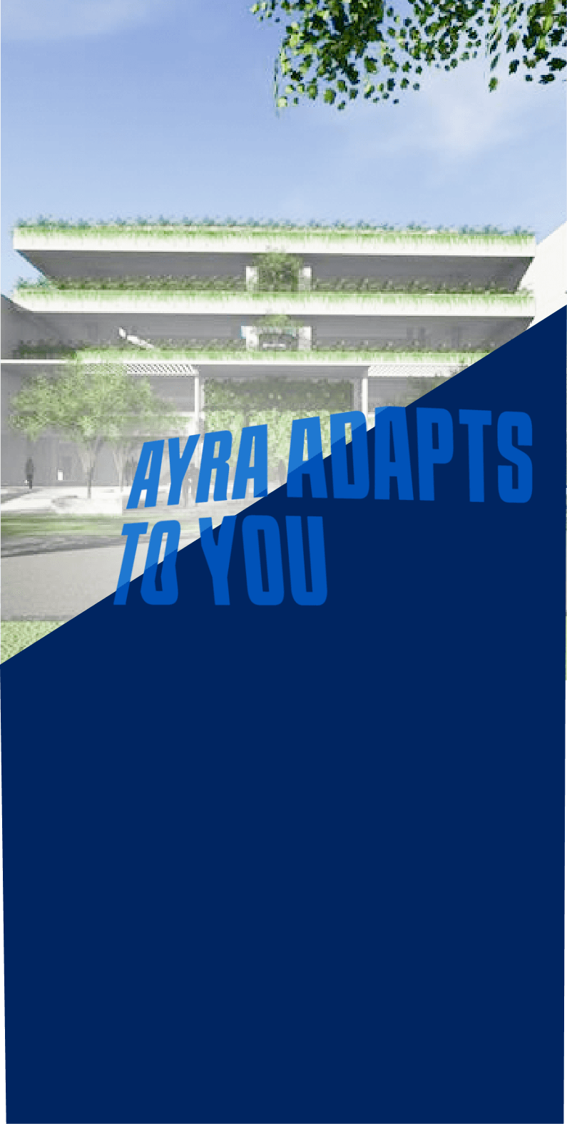 Who Can Apply Background