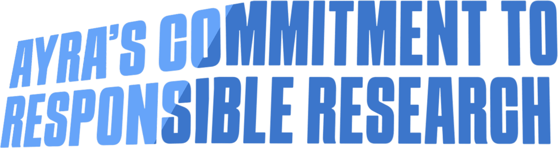 Your Journey Starts Here